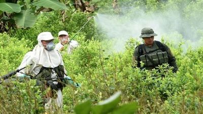Denuncian que disidencias de FARC apresaron a 180 militares