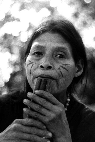 Sobre las transcripciones y traducciones de las piezas de Kosmofonía Mbya-Guaraní - Cultural - ABC Color