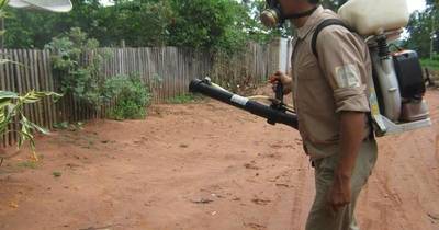 La Nación / América trabaja para erradicar el paludismo