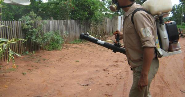 La Nación / América trabaja para erradicar el paludismo