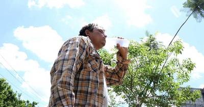 La Nación / Este domingo se instala el calor, con máxima de 30 grados