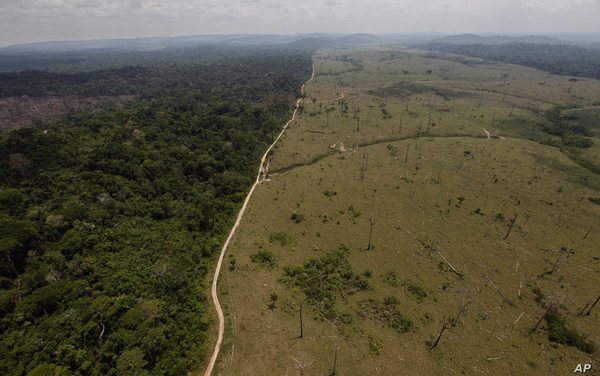 De la Amazonía al Pantanal, la crisis climática se instala en Brasil - El Independiente