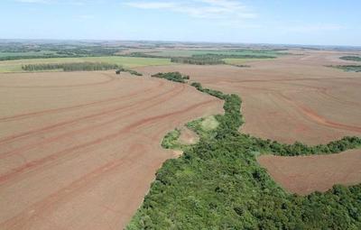 “Paraguay Ahora” lanza propuestas para contribuir al cuidado del ambiente