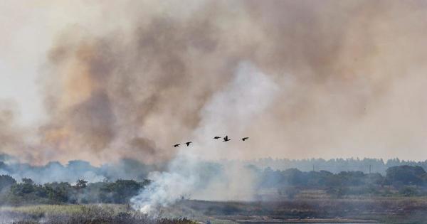 Presentan propuestas para que el país se desarrolle sin descuidar el medioambiente