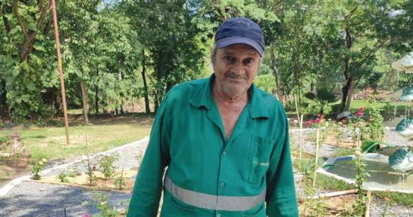 La Nación / Lleva 50 años trabajando como jardinero municipal y fue reconocido por su noble labor
