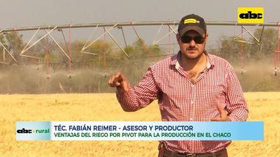 Ventajas del riego por pivot para la producción en el Chaco - ABC Rural - ABC Color