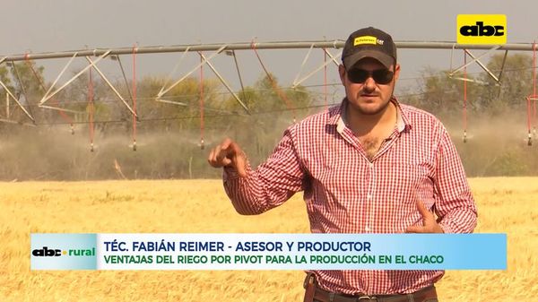 Ventajas del riego por pivot para la producción en el Chaco - ABC Rural - ABC Color