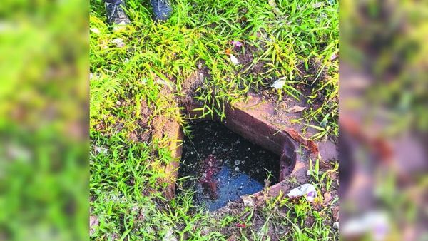 Niño cayó en desagüe de cloaca y falleció