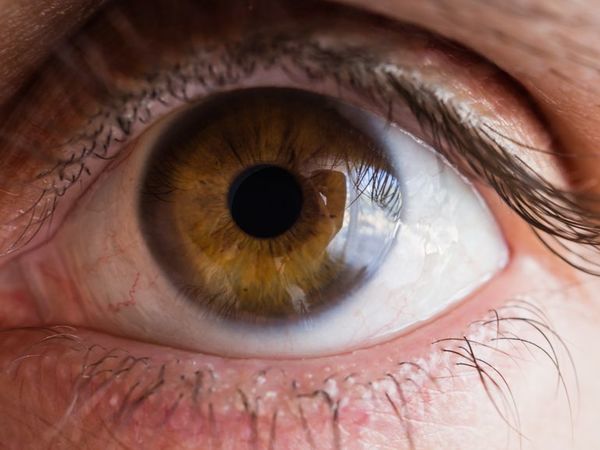 Algunos cambios en la retina revelan síntomas de la ELA - Ciencia - ABC Color