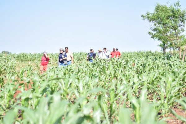 EBY verifica proyectos productivos encarados en Misiones durante el 2021 - .::Agencia IP::.