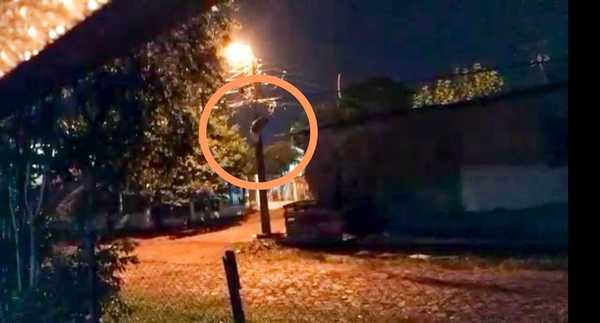 TREPAN por columna y ROBAN cables