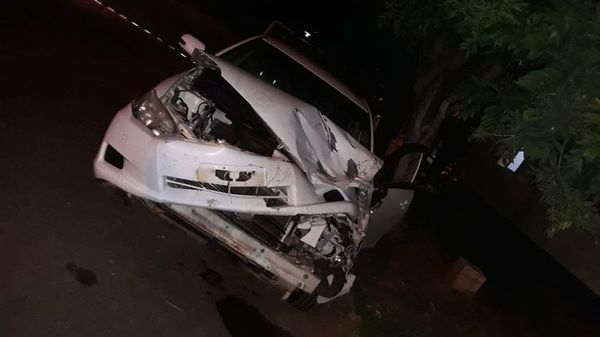 Una vez más animales sueltos ocasionan accidente en Misiones  - Nacionales - ABC Color