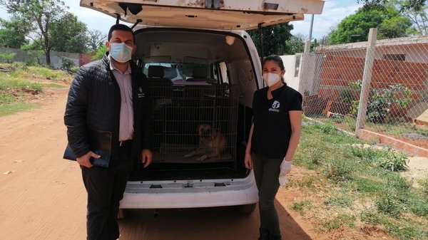 Rescatan a una perrita por presunto caso de zoofilia | Ñanduti