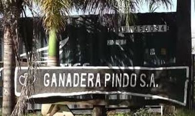 Este jueves Senado tratará polémico proyecto de expropiación de la Estancia Pindo