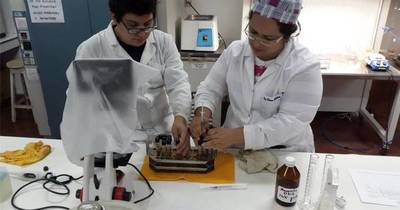 La Nación / Día del Investigador Paraguayo: la UNA cuenta con la mayor cantidad de investigadores categorizados