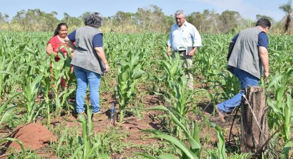 Verifican avance de los proyectos productivos en Misiones