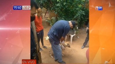 Investigan presunto caso de zoofilia en Luque | Noticias Paraguay