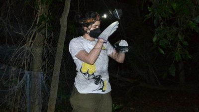 Paraguaya es reconocida por aporte en la conservación de murciélagos