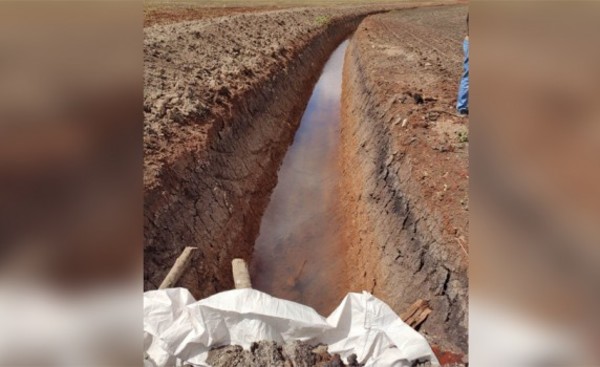 Imputan a productor brasileño por daño ecológico