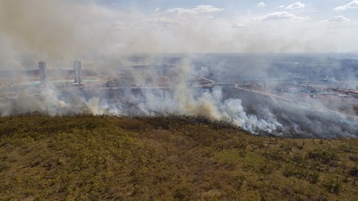 Un estado brasileño combatirá la deforestación con herramientas digitales - MarketData