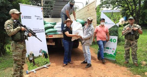 La Nación / Productores de zona de Itapúa recibieron semillas de cáñamo