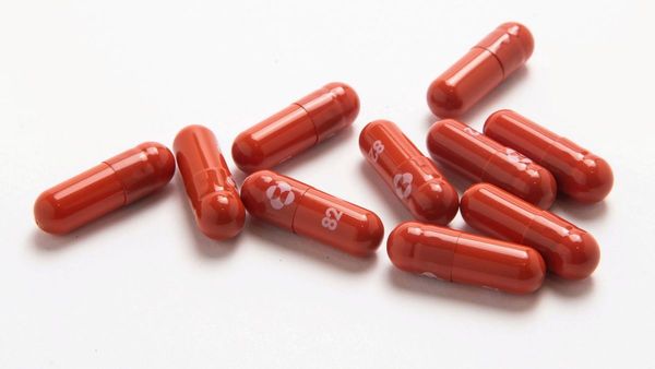 La EMA revisa pastilla de Merck para posible uso de emergencia