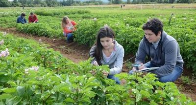 JICA ofrece curso con financiamiento total para profesionales en ciencias agrarias