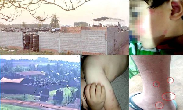 Vecinos sufren de infestación de mosquitos que se crían en una recicladora de cubiertas – Diario TNPRESS