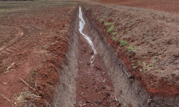 Fiscalía procesa a un productor brasileño por delitos ambientales – Diario TNPRESS