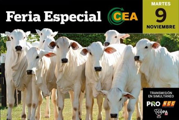 Habilitan pre ofertas para comercialización de 1.419 cabezas en Feria Especial del CEA