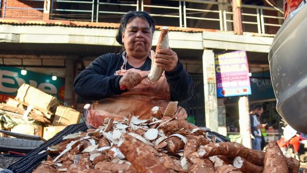 Doña Leoncia, la mujer que pela una tonelada de mandioca por día