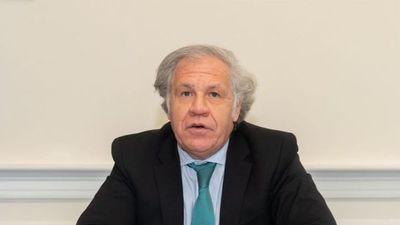 OEA rechaza resultados de ilegítimas elecciones de Nicaragua