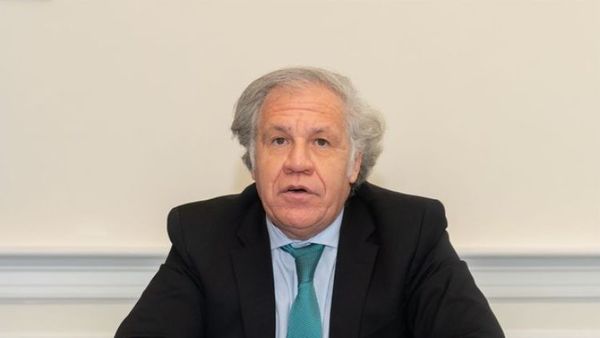 OEA rechaza resultados de ilegítimas elecciones de Nicaragua