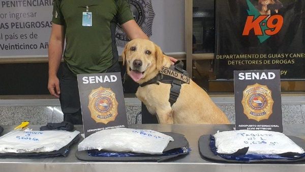 Paraguaya es detenida con cocaína cuando intentaba viajar a Madrid