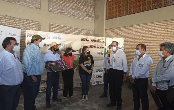 Agricultores celebran el buen precio que tiene la mandioca - Nacionales - ABC Color