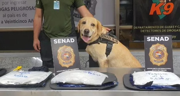Paraguaya es detenida con cocaína cuando intentaba viajar a Madrid - Noticiero Paraguay