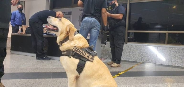 Diario HOY | Estrenó pasaporte y fue detenida con tres paquetes de cocaína