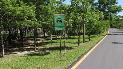 El Parque Guasu recupera su mejor versión tras incendio