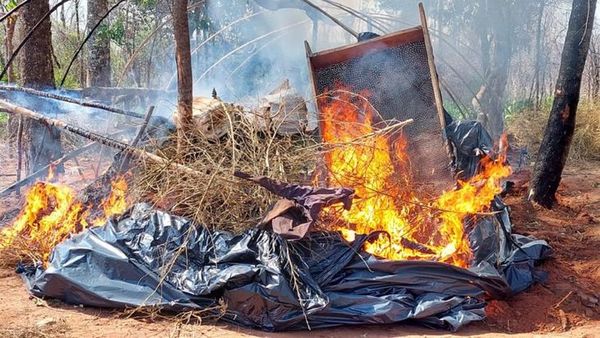 Agentes antidrogas incautaron más de 6.000 kilos de marihuana de un inmueble rural en Amambay