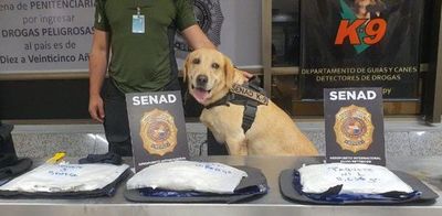 Alerta aeropuerto: Paraguaya es detenida con cocaína cuando intentaba viajar a Madrid