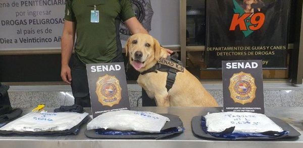 Alerta aeropuerto: Paraguaya es detenida con cocaína cuando intentaba viajar a Madrid