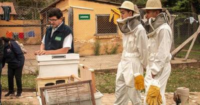 La Nación / Escuelas agrícolas autosostenibles convocan a jóvenes para preinscripciones