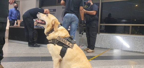 Crónica / Peló nuevo pasaporte chururú y ¡fue cachada con "merca"!