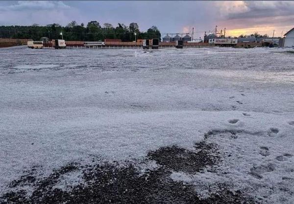 Granizada destruyó cultivos en distritos de Caaguazú y Canindeyú - A La Gran 7-30 - ABC Color