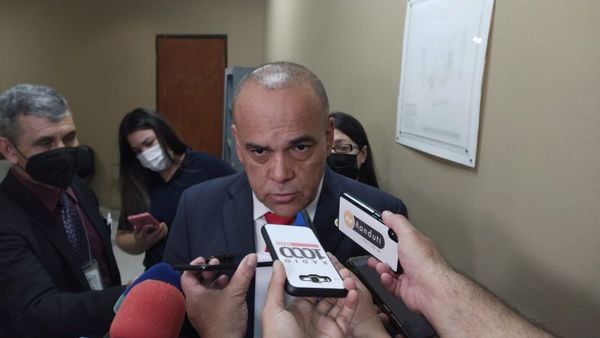 Diputado Bachi Núñez pide perdida de investidura para Celeste Amarilla
