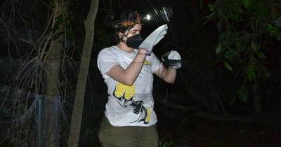 La Nación / Paraguaya sobresaliente: una “mbopivoluntaria” trasciende fronteras por su pasión hacia los murciélagos