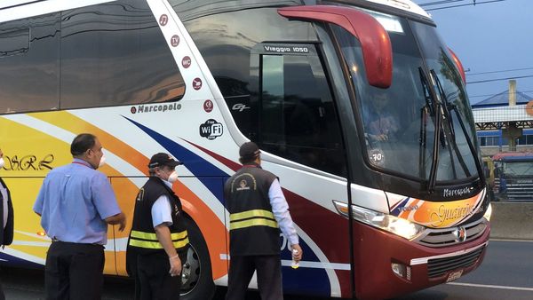 Dinatran informa que viajes en bus a Argentina no iniciarán el lunes