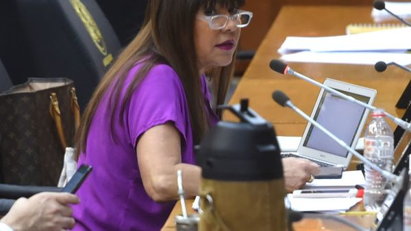 Celeste revela temor por “obsesión” de Bachi por destitución
