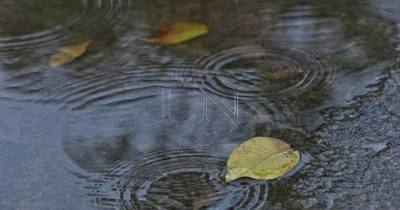 La Nación / Jueves cálido a caluroso, con algunas precipitaciones dispersas