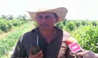 Ñanemba'éva: Chokokue Katupyry - SNT